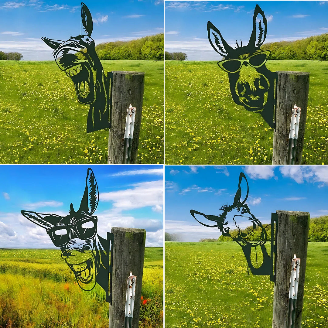 Funny Donkey Metal Yard Sign Set