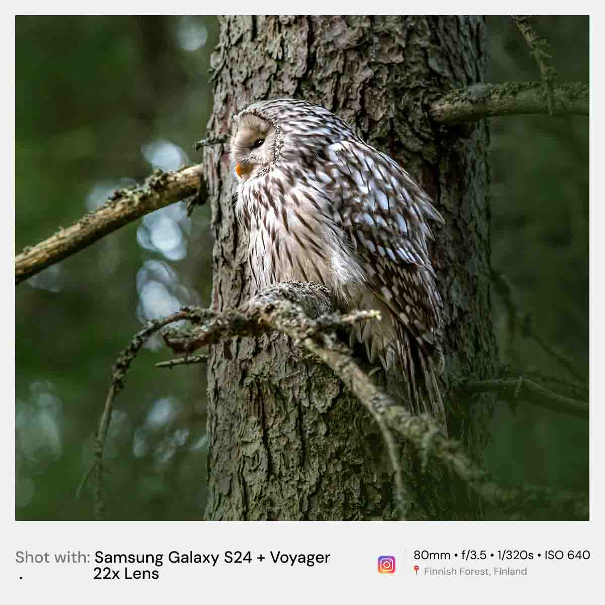 Voyager® 22x Zoom Lens Kit