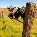 Cow – Classic
